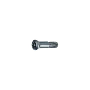 Torx-Spannschrauben